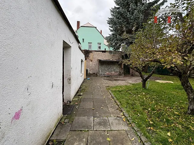 Fotka 5 z 17